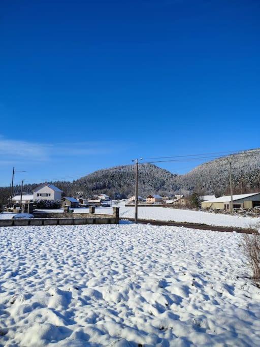Gite Cosy Avec Avec Jardin Et Parking Privatifs - Hautes Vosges Saint-Amé 외부 사진