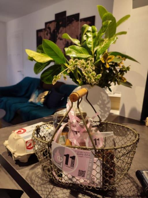 Gite Cosy Avec Avec Jardin Et Parking Privatifs - Hautes Vosges Saint-Amé 외부 사진
