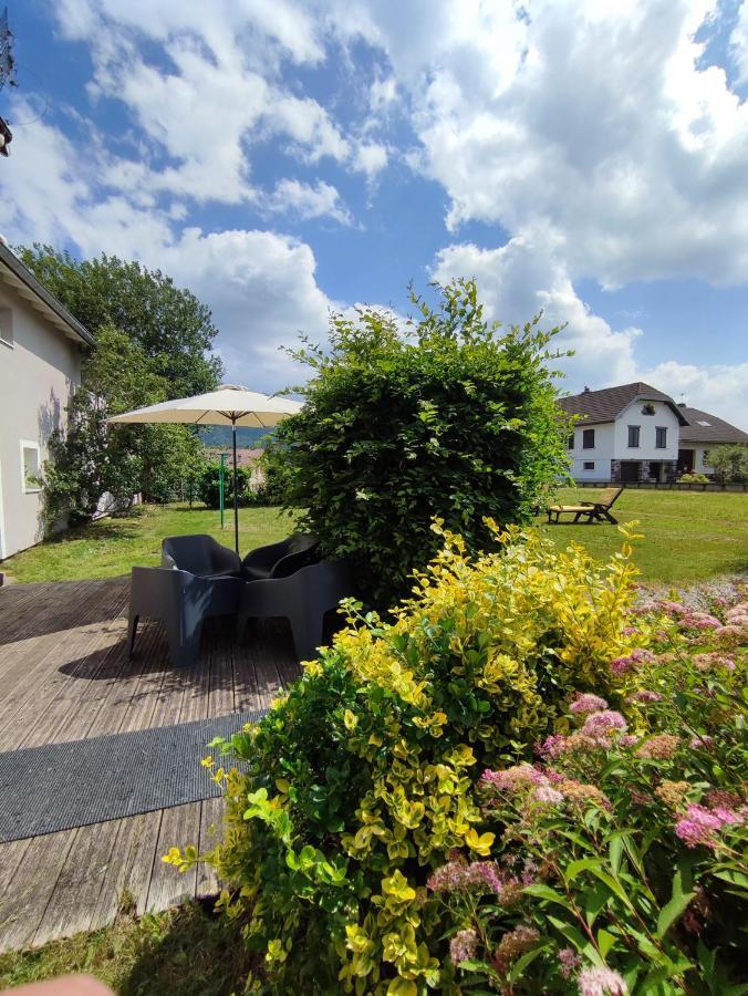 Gite Cosy Avec Avec Jardin Et Parking Privatifs - Hautes Vosges Saint-Amé 외부 사진