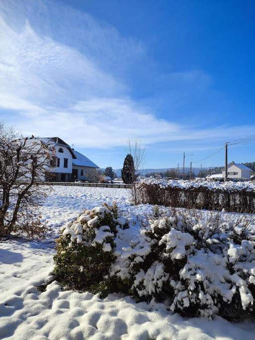 Gite Cosy Avec Avec Jardin Et Parking Privatifs - Hautes Vosges Saint-Amé 외부 사진